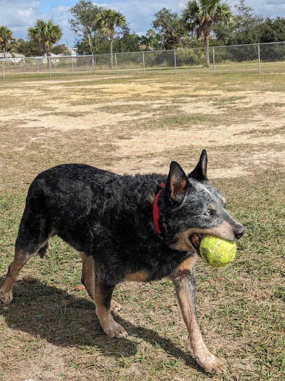 St Joe Beach Dog Park