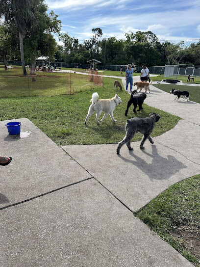 Hounds of Henry