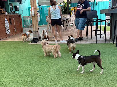 Neighborhood BarK and Boutique