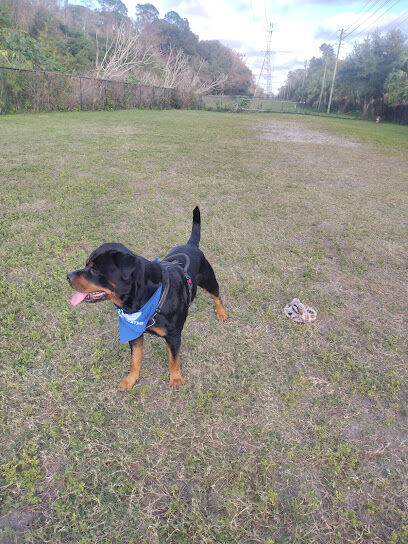 Safety Harbor Dog Run