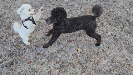 The Meadows Dog Park