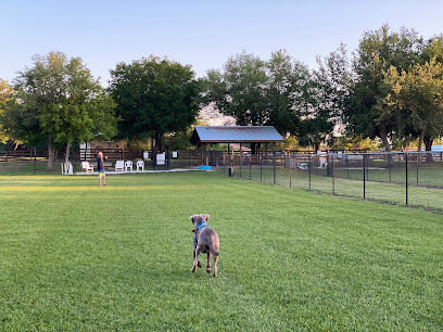 Spring Lake Dog Park
