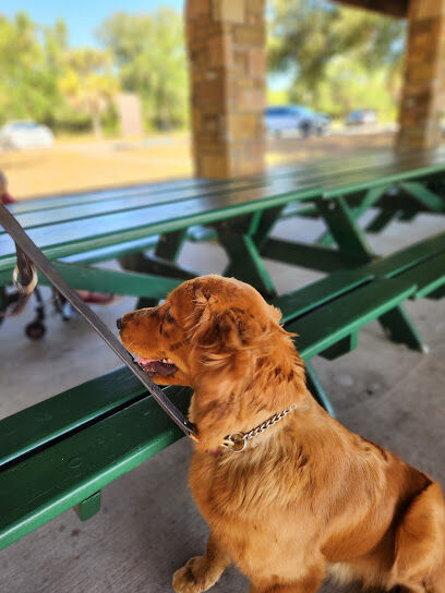 Dog Park