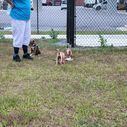 Dog Park at Love's Travel Stops