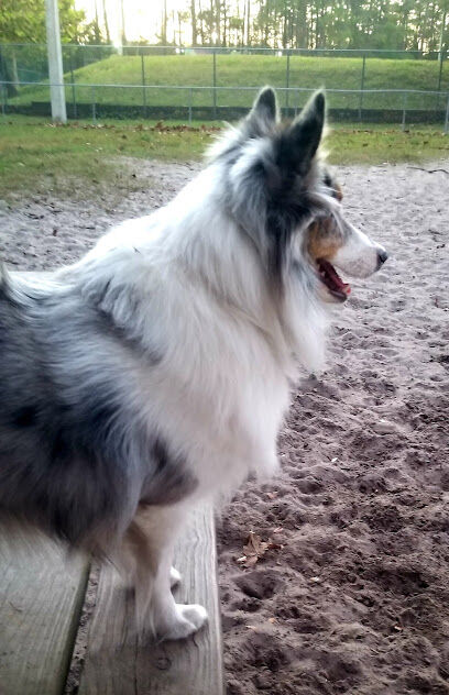 Shae Burchfield Memorial Paw Park