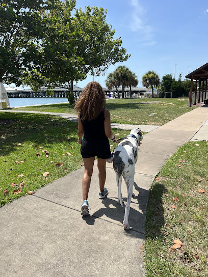 St Pete Beach Dog Park