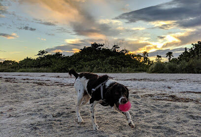 Fort De Soto Dog Park / Beach