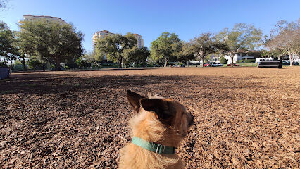 Small Dogs Park at the Vinoy Park of St petersburg - FL