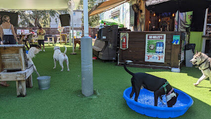 The Dog Bar