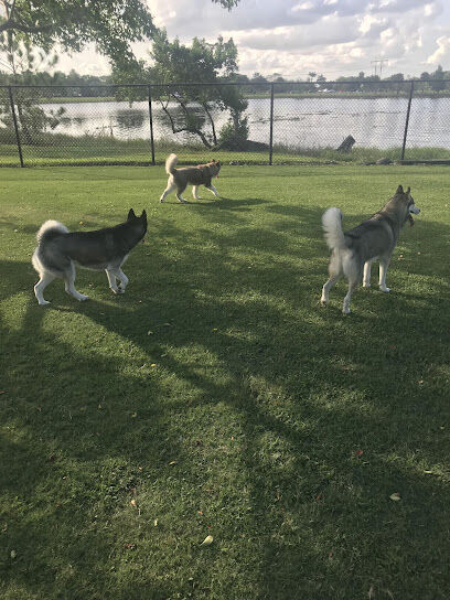 Big Dogs Area