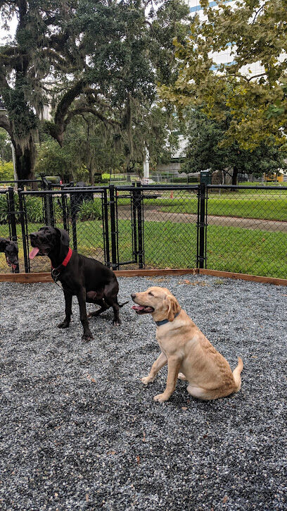 All Saints Dog Park