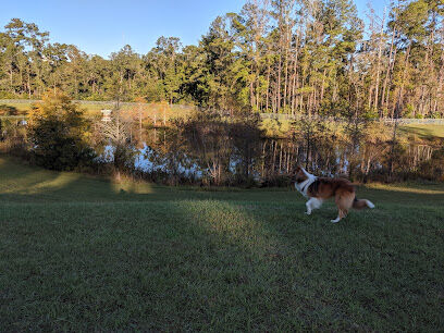 Bradfordville Dog Park