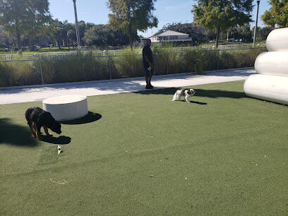 Curtis Hixon Waterfront Park Dog Park