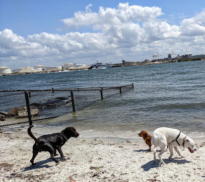 Davis Island Dog Park