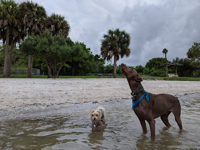 Dog Beach at Picnic Island Park