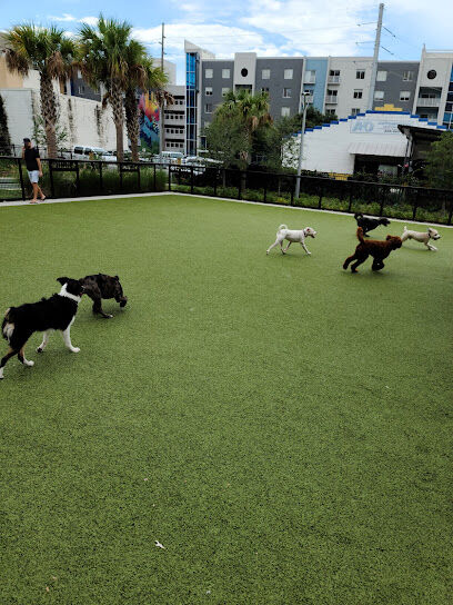 Dog Parks at Madison Street Park