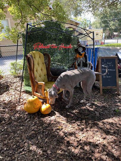 Hair of the Dog Park