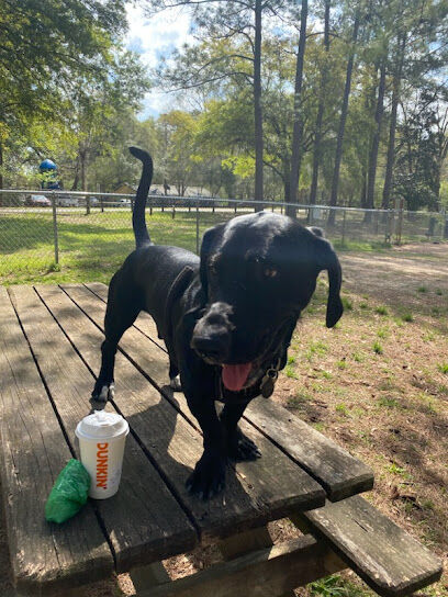 New Tampa Rotary Dog Park