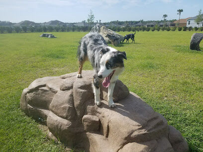 Dudley Canine Park