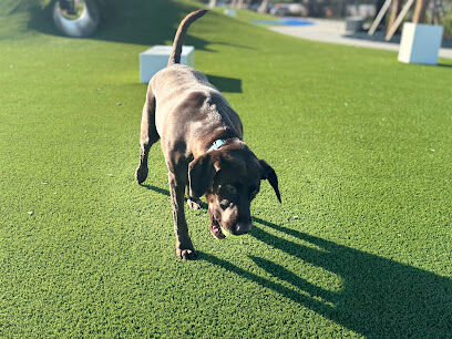 Fetch Paw Park