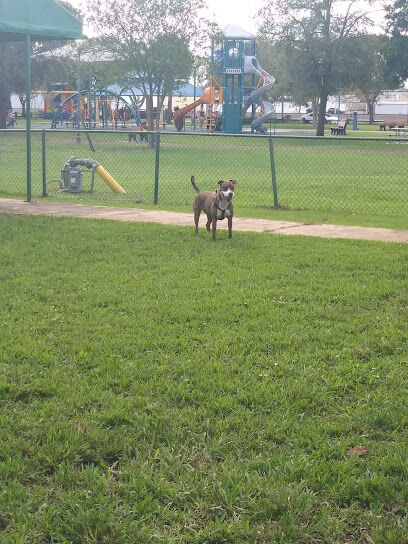 City Paws Dog Park