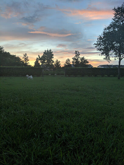 Vineyard Square Bark Park