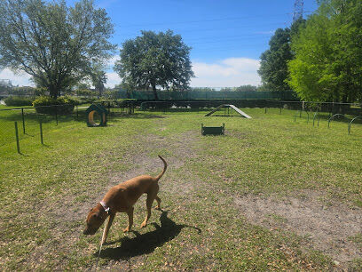 Falcon Square Dog Park