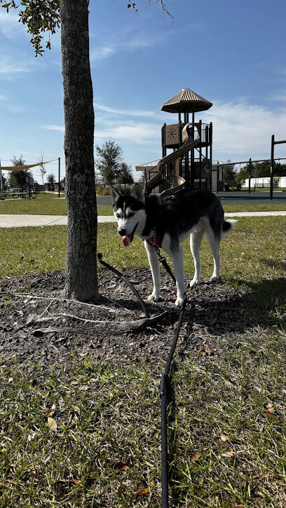 Winter Haven Dog Park