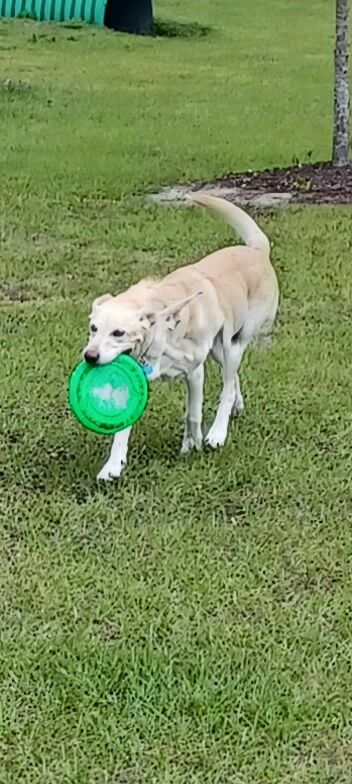 Pawsome Park (Tributary-Residents Only)