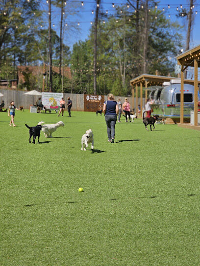 Fetch Park Alpharetta