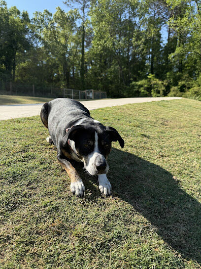 Athens Memorial Dog Park