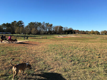 Wiggley Field