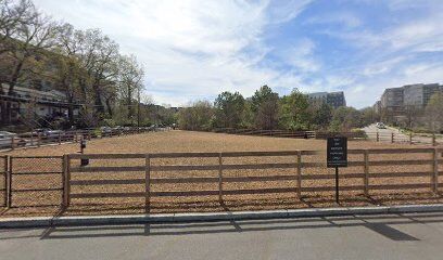 Historic Fourth Ward Dog Park