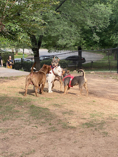 South Bend Dog Park