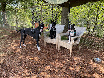 Walker Park Dog Park