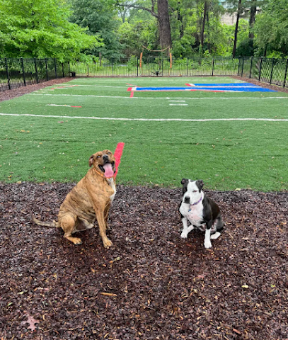 Zeno's Backyard Bark Park