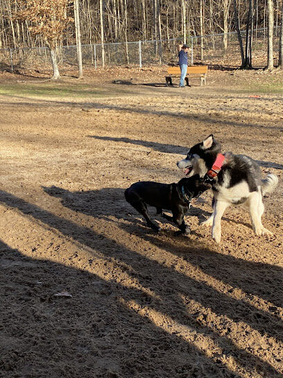 Farmers Barket Dog Park