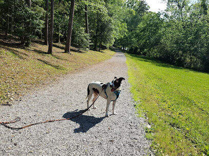 Union County Dog Park