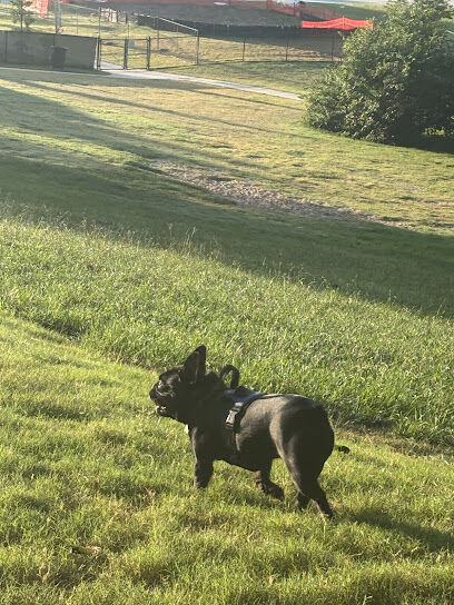 Brookhaven Dog Park
