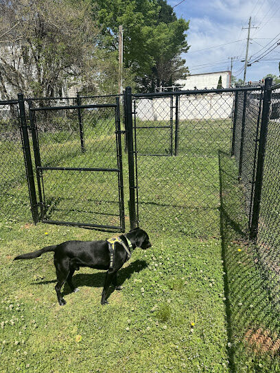 Carnesville Paws & Play Park