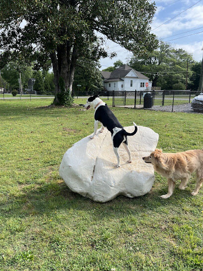 Dog park