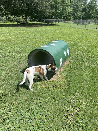 South Fulton Dog Park: Canine Crossing