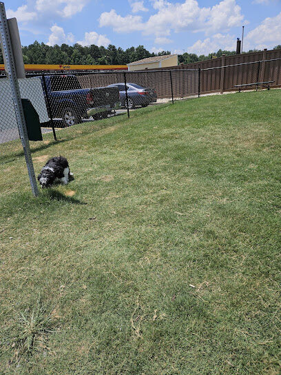 Dog Park at Love's Travel Stops