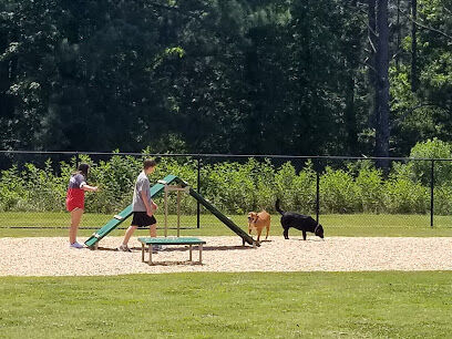 Harbins Dog Park