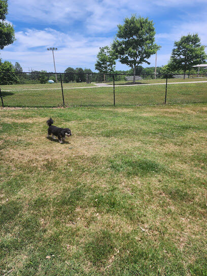 Deer Lick Dog Park