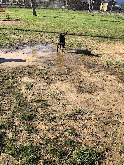 Bark City Dog Park