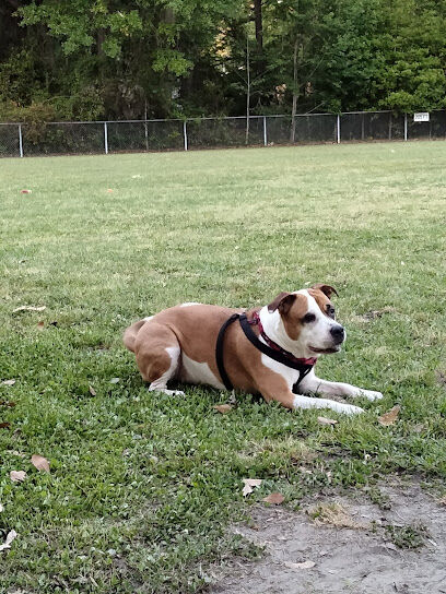 Dog Park
