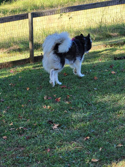 Carver Road Dog Park