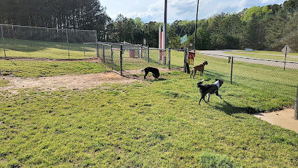 Dog park