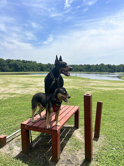 Cisco's Dog Park At Bryant Commons Park